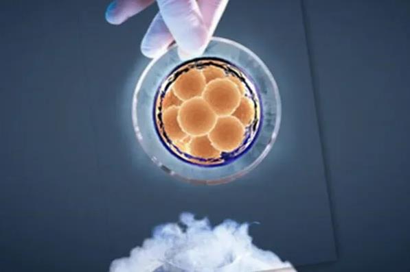 唐都医院试管婴儿费用大约多少?成功率咋样?