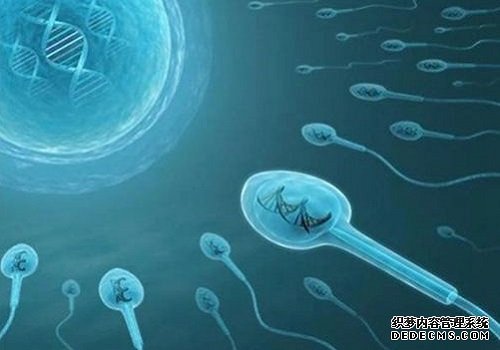 山东大学附属医院生殖医院全国排名第几 022年山东能包生男孩的试管医院汇总,有2家医院拥有三代技术 ‘怎么从双顶径参数看男女’