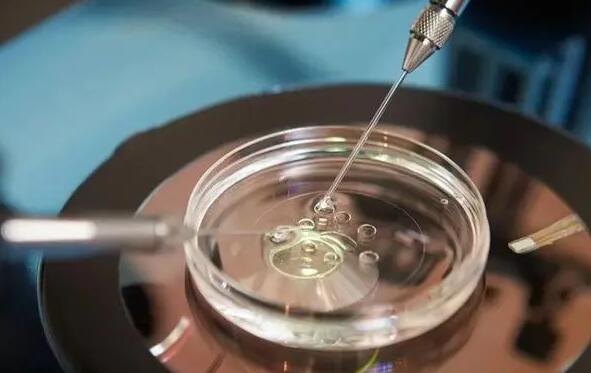 合肥安医附院试管婴儿技术好么？卵子质量差做试管会