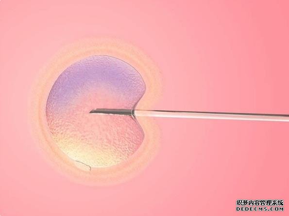 月子期间要饮食清淡，科学坚持才有助于身体恢复