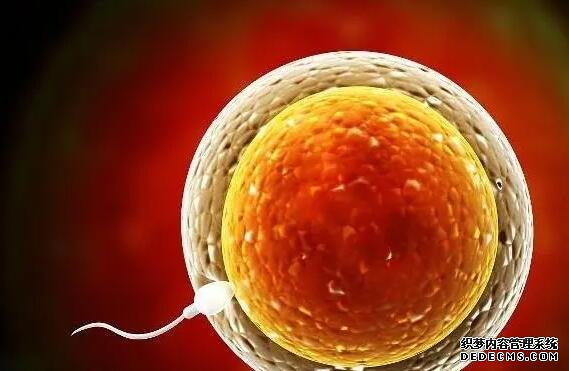 做基因检测，从西安儿童医院送到北京这个路程，检测的结果准确吗？ 2022陕西西安供卵生男孩成功费用清单，附供卵试管医院排名 ‘营口伊人26周四维看男女准么’