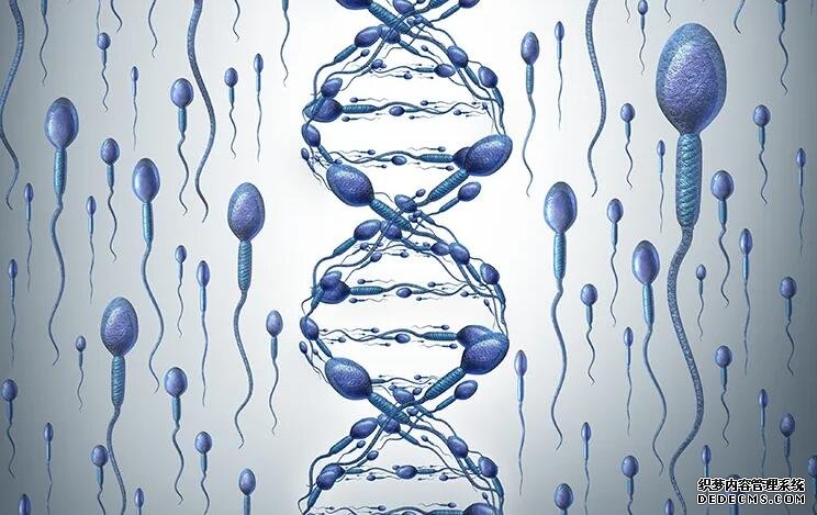 厦门供卵试管联系方式 厦门第三代试管婴儿哪里能做? ‘b超如何测男女’