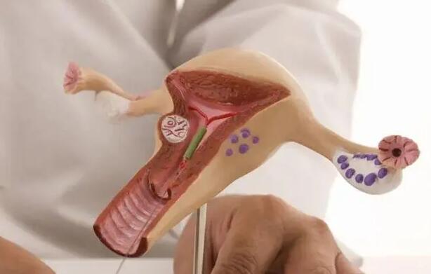 长春零风险包生男孩 022年长春试管婴儿助孕生男孩的医院名单，4家试管医院仅一家可行！ ‘男胎和女胎双顶径区别’