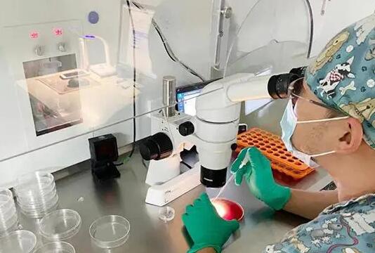 北京试管报销 北京协和医院做试管婴儿疑问集锦 ‘孕囊大约20x11x22男孩女孩’