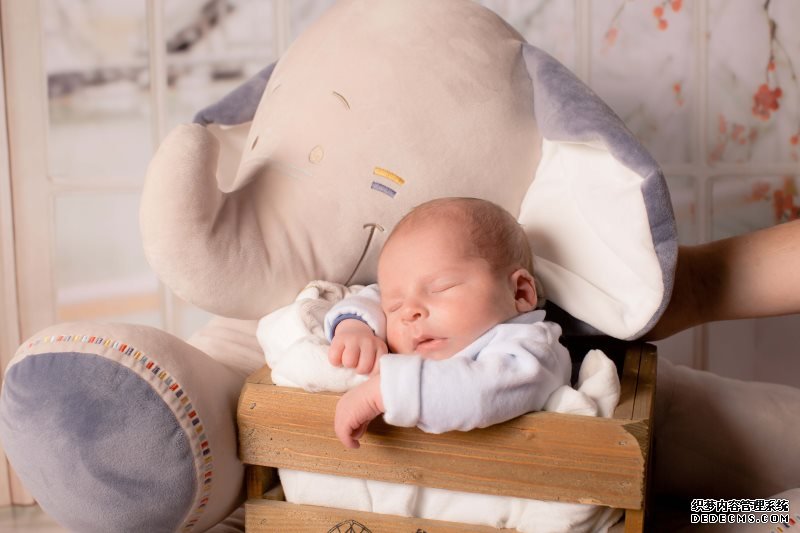 生男生女有窍门?备孕的朋友快看过来!