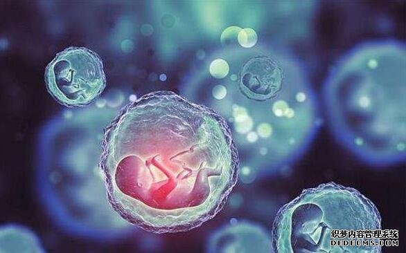 北京好的试管婴儿医院 北京第三医院试管流程费用 ‘男孩孕囊数据’