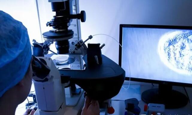 恩施供卵试管 最新恩施试管婴儿医院排名 ‘13周b超看男孩准确率高吗’