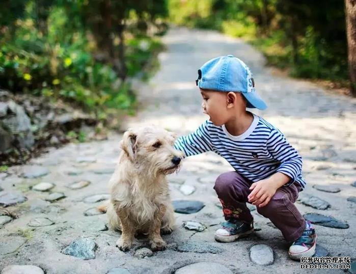 更年期的女性吃什么补雌激素?这七类食物要多吃