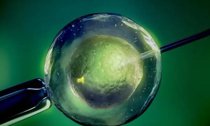 西宁试管供卵 2023
西宁私立供卵机构排名全新发布 ‘怀男宝宝早期有什么特征