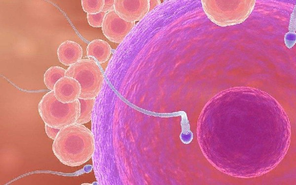 邵阳三代试管成功率找南方试管机构 2023年邵阳试管费用纳入医保了吗? ‘孕妇初期梦到小女孩还有鱼是什么征兆’