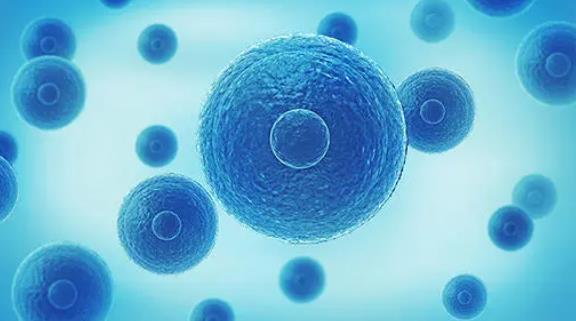 试管做昆明医院 大龄女性在昆明医科大学第一附属医院做三代试管多少钱? ‘酒精判断男女’