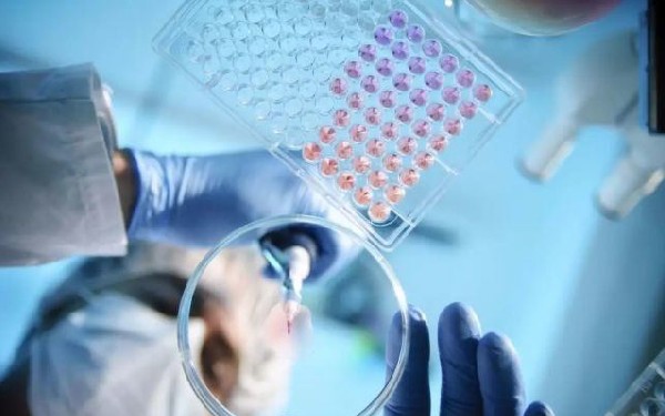 广东试管成功率 2022广东省妇幼保健院做试管供卵生男孩费用 ‘双顶径95.2mm是儿子还是女儿’