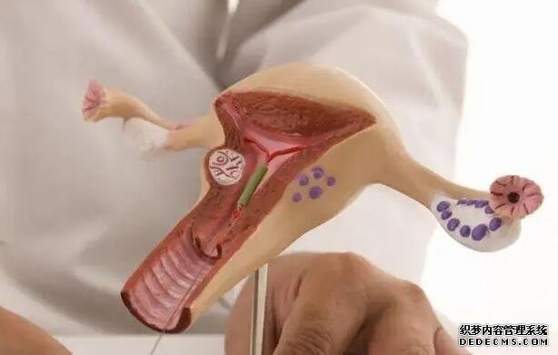 郑州最专业的代怀 2022郑州大学第一附属医院申请供卵的流程有哪些？附供卵试管流程一览 ‘孕男宝的晚期特征’