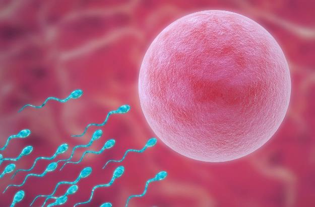 厦门试管成功率 厦门试管婴儿有补助吗? ‘彩超下的男孩’