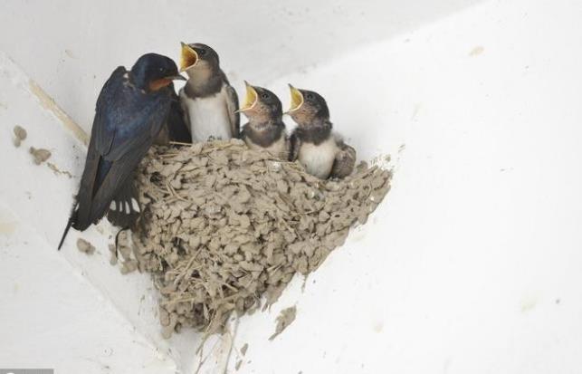 武汉长江试管 022湖北武汉试管婴儿哪里好?推荐9家医院内附成功率、费用 ‘四维彩超通过胎心率可以看出男女吗’