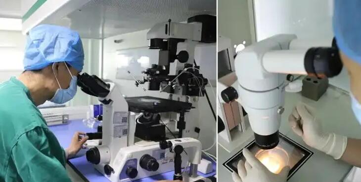 福州代怀流程 福州供卵试管费用多少,2022福建供卵试管费用预估 ‘彩超下男女性别图片’