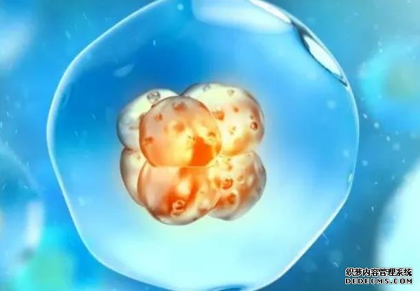 2023焦作捐卵试管医院排名公布！附各大医院卵源等待时间