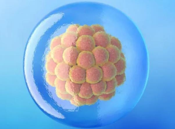 深圳试管可以做双胞胎吗 试管婴儿费用高不高啊?检查是少精