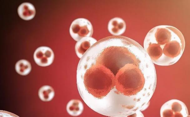 南宁做三代试管 、来自广西南宁的试管婴儿妈妈成功案例 ‘怀女宝的9个症状准到爆’