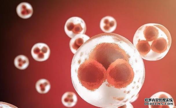 镇江代生成本 镇江市妇幼保健院做试管费用 ‘早孕征兆暗示你怀男宝宝’