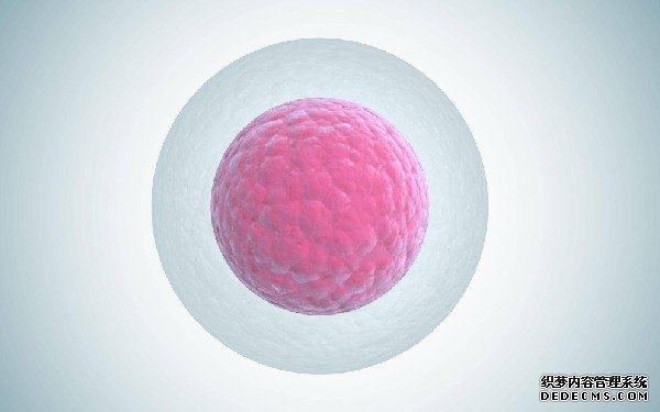 【广州试管婴儿】广州做试管婴儿费用、流程 -试管婴儿费用流程