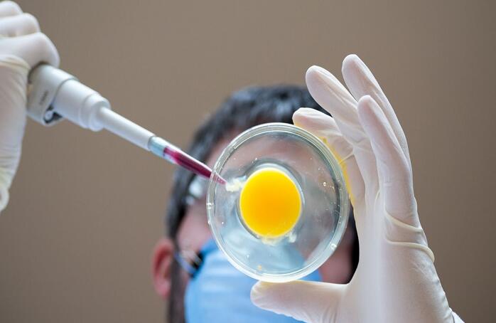 北京试管供卵 北京家圆医院可以做三代试管吗? ‘有nt值小于1是男孩的吗’