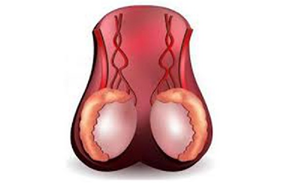 成都做试管医院 成都新生儿上户口需要哪些证件 ‘看男孩女孩做b超能看出来吗’