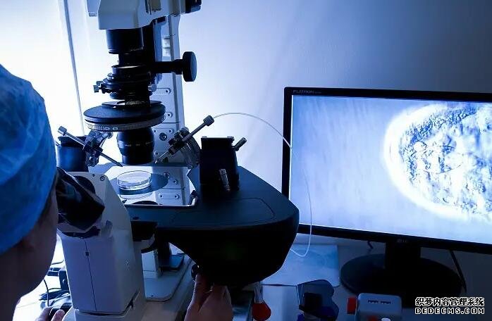 导致女性患有子宫腺肌症的原因你知道吗？