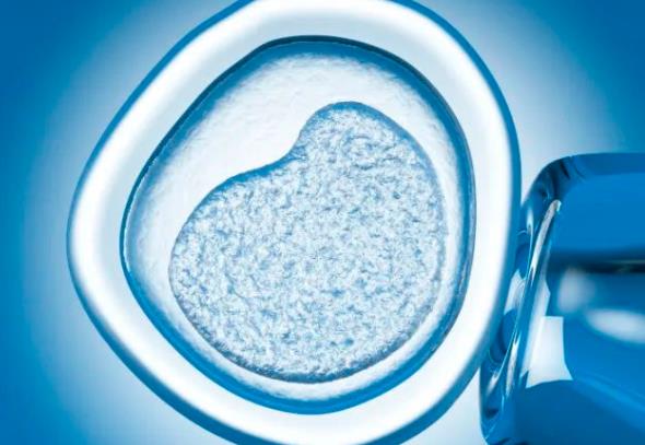 河南试管婴儿医院成功率排名,河南省人民医院试管婴儿费用明细