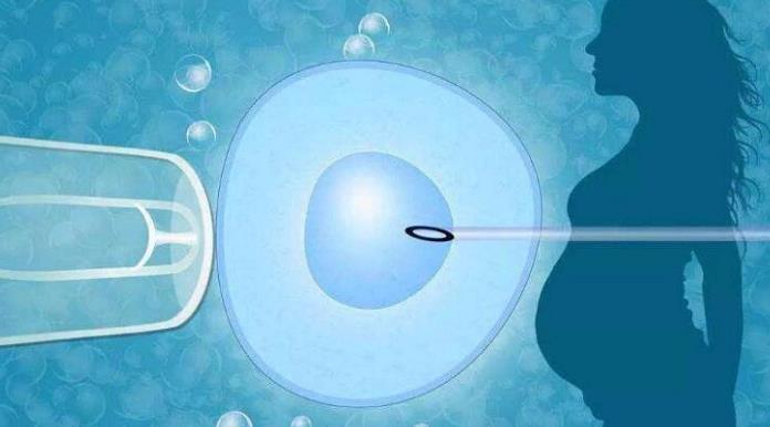 宝鸡试管供卵 2023宝鸡试管费用纳入医保了吗? ‘b超看屁股查男女准吗’