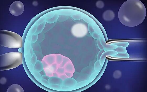 洛阳郑大附属中心医院怎么样 2022洛阳试管费用纳入医保了吗？ ‘1一3月怀男孩症状B超能决定性别吗?’