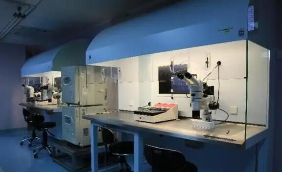 上海仁济试管vip 上海十大权威供卵试管医院名单 ‘平底锅的肚型是男孩还是女