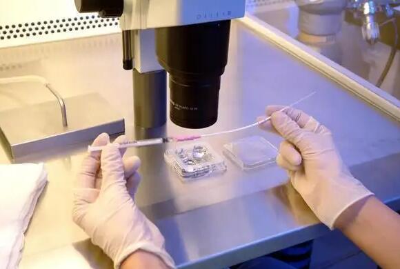 南宁试管供卵 南宁好的试管婴儿医院名单 ‘四维彩超图像爸爸是男孩女孩’