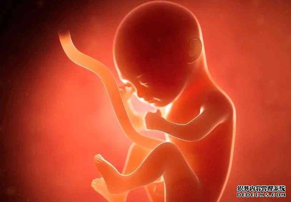 私人实验室的试管婴儿成功率并不高,还有很大的提升空间