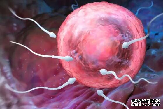 杭州代怀价格贵不贵 在杭州妇保做试管成功率的高的人群: ‘胎囊4.6*3.4*1.9是男孩还是女孩’