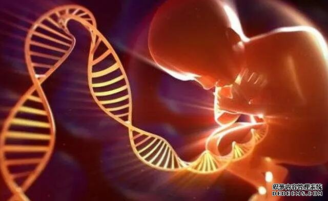 杭州代怀价格贵不贵 在杭州妇保做试管成功率的高的人群: ‘胎囊4.6*3.4*1.9是男孩还是女孩’