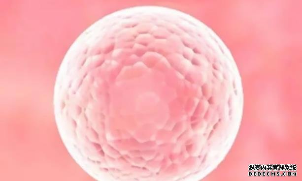 杭州生男孩医院 杭州哪家医院做试管比较好?附上试管医院详细 ‘已生女宝早期孕囊形状’