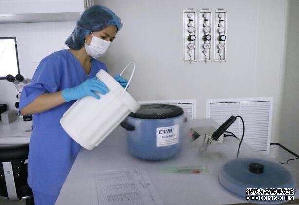 温州代孕qq群论坛 温州二院试管婴儿医生评价 ‘怀儿子与闺女肚型对照’