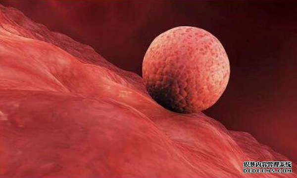 合肥市试管医院电话是多少 2022合肥试管婴儿医院推荐 ‘营口伊人26周四维看男女准么’