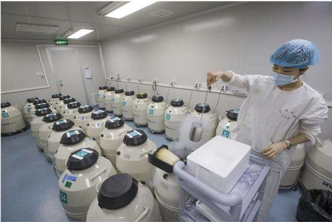 南阳有几家做试管婴儿的？选择试管婴儿医院标准是什