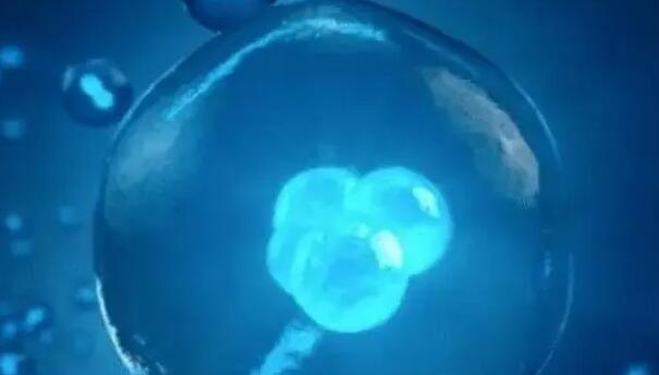 大连第三代试管 2023年大连有几家医院能做试管婴儿? ‘b超图男宝宝图’