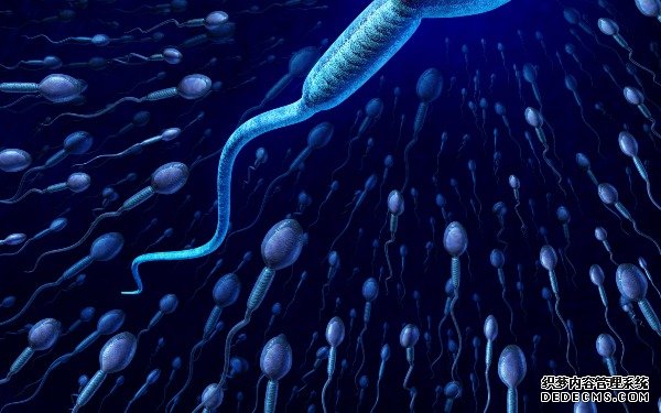 昆明供卵试管哪里最低 昆明供卵助孕机构排名最新出炉，供卵生男孩费用参考？ ‘营口伊人26周四维看男女准么’