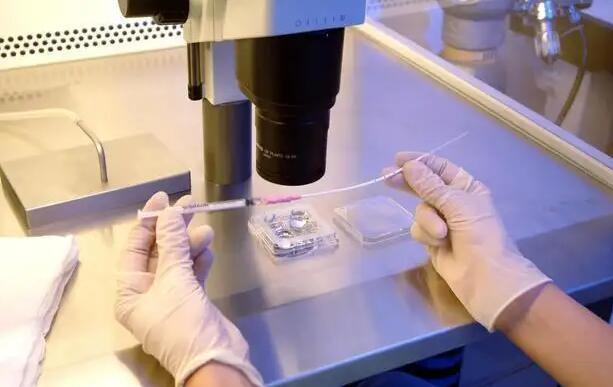 深圳的试管医院 深圳助孕供卵无子宫试管助孕,供卵试管婴儿是用以女性卵巢贮备衰退或别的遗传, ‘孕妇外观看男女的十大特征’