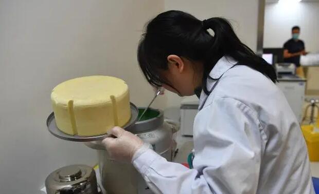 郴州供卵试管 郴州出生证明补办资料 ‘怀孕24周b超单子看男女’