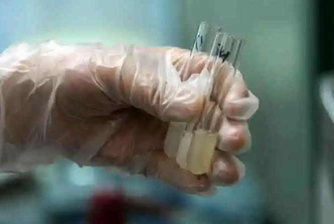 合肥901医院 试管 合肥人工试管婴儿多少钱一次？合肥做试管成功的人多不？ ‘5-6周b超如何看男孩女孩’