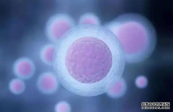 12周做nt胎心率160以上绝对是女孩吗?