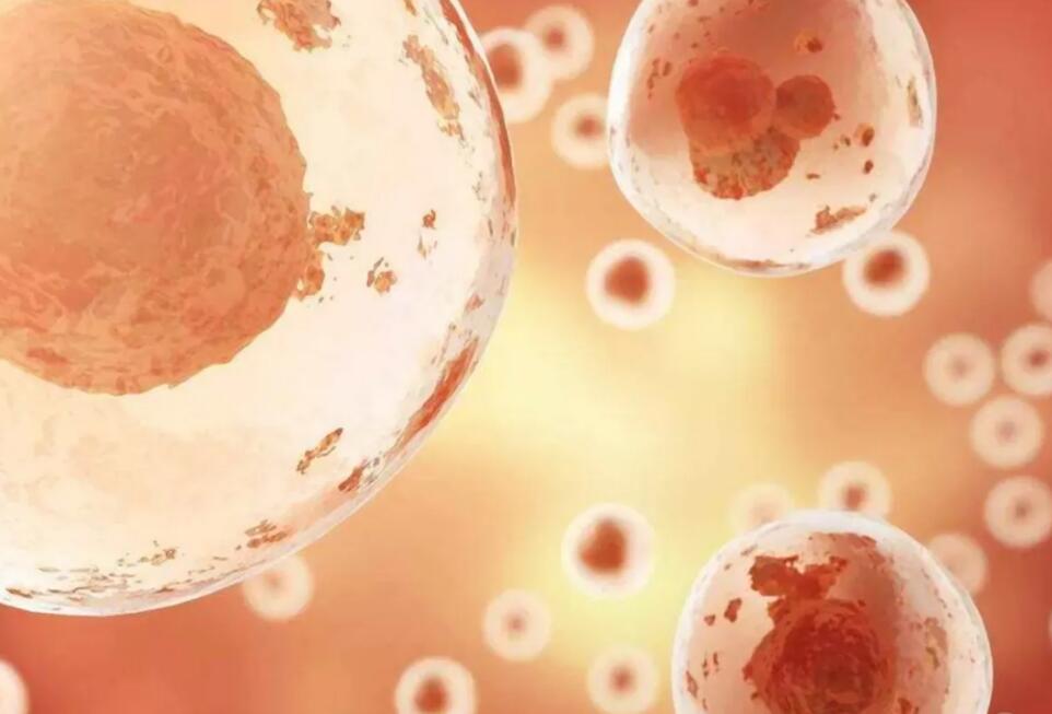 南昌试管配餐 南昌三代供卵生男孩医院名单新鲜出炉，附2023供卵试管助孕条件 ‘四个半月女孩男孩生殖器图彩超图’