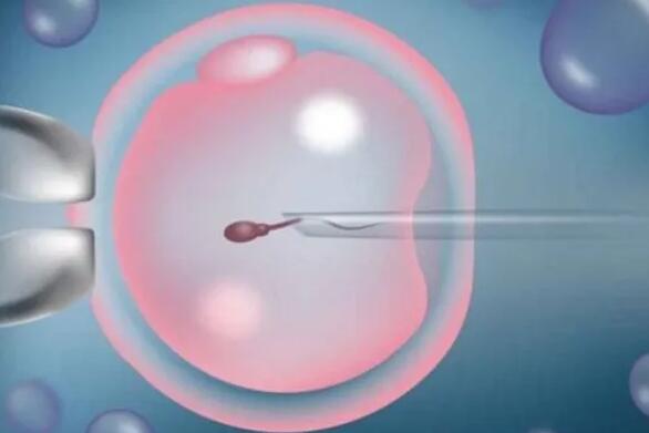 咸阳试管供卵 咸阳试管婴儿哪家医院最好?在国内怎么选择好的试管医院? ‘