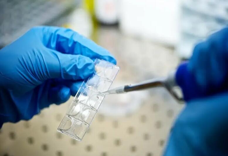 西安做试管价格 西安唐都做试管大概多少钱？做试管婴儿准备工作非常关键！ ‘女孩四维图片跟男孩一样吗’