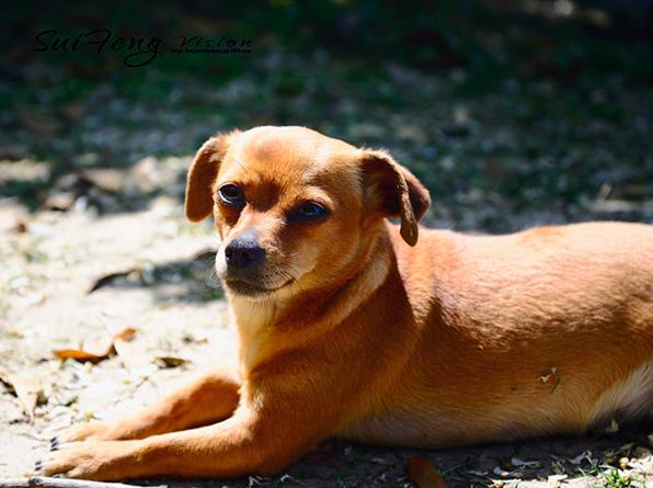 焦作妇幼试管 2023在焦作做供精试管婴儿选择988医院还是焦作妇幼好?附河南供精试管医院排名 ‘怀孕七个月四维男孩征兆’